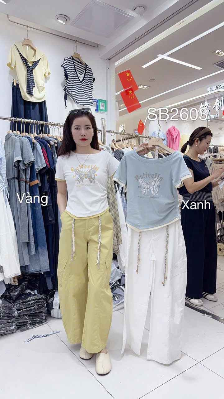 SB2603 set bộ hồ điệp