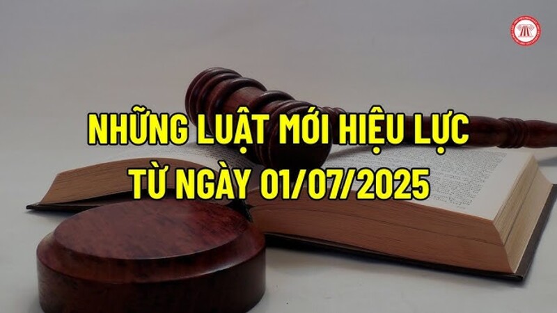 20250704_n5MevHrx.jpg