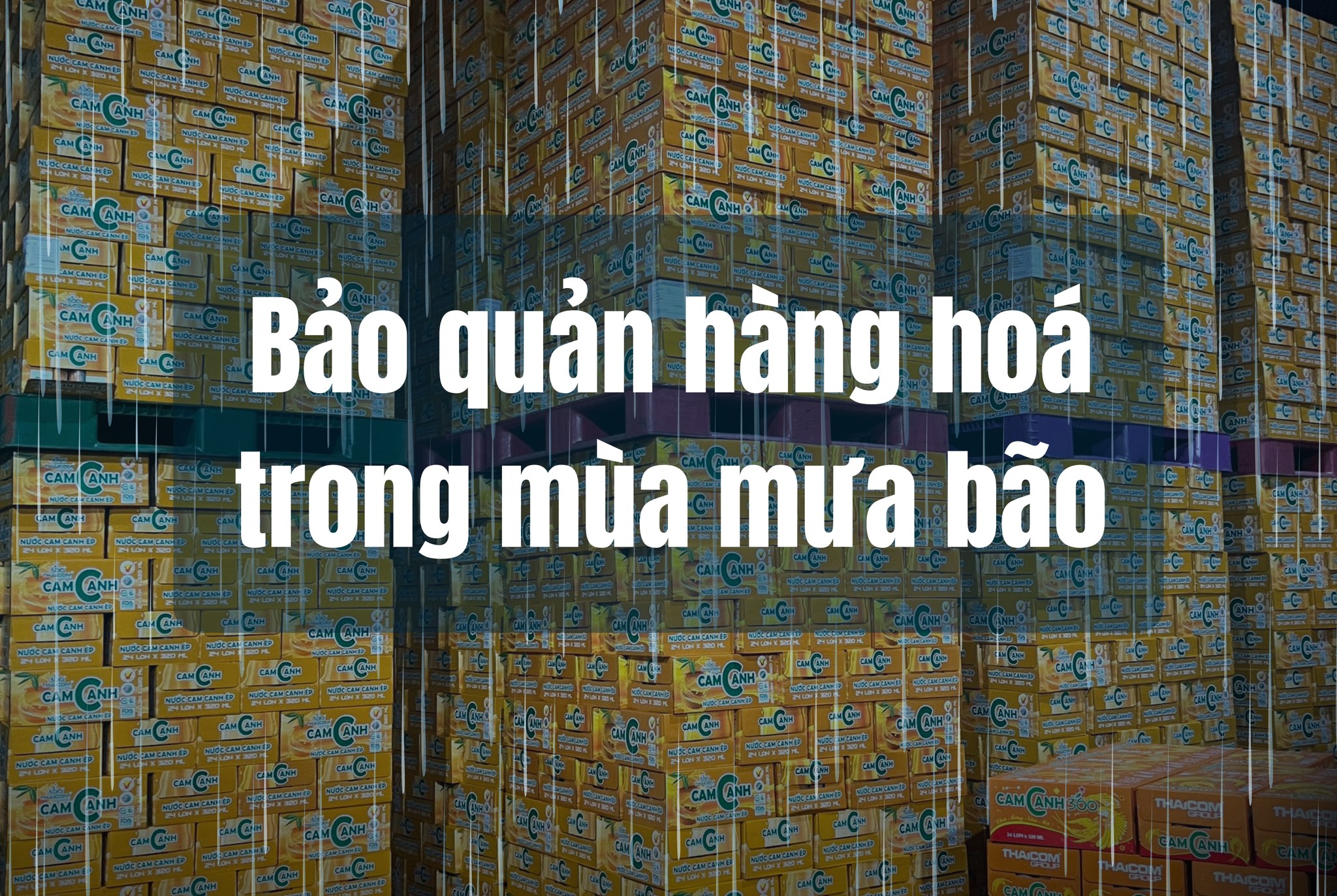BẢO QUẢN HÀNG HÓA AN TOÀN TRONG MÙA MƯA BÃO