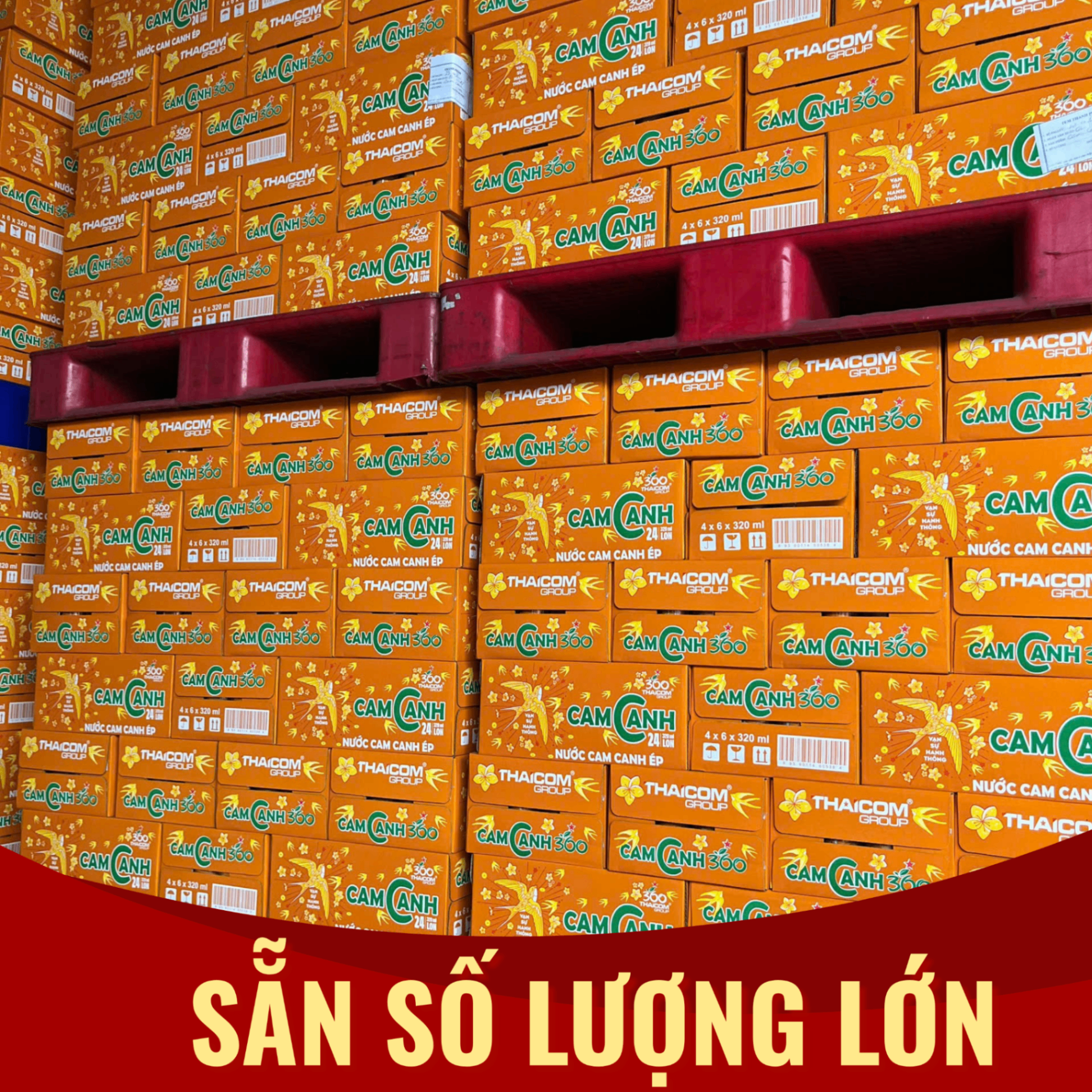 GIA-RE-BAT-NGO-SAN-SANG-CHUAN-BI-HANG-CHO-TET-BINH-NGO_blob-1.png