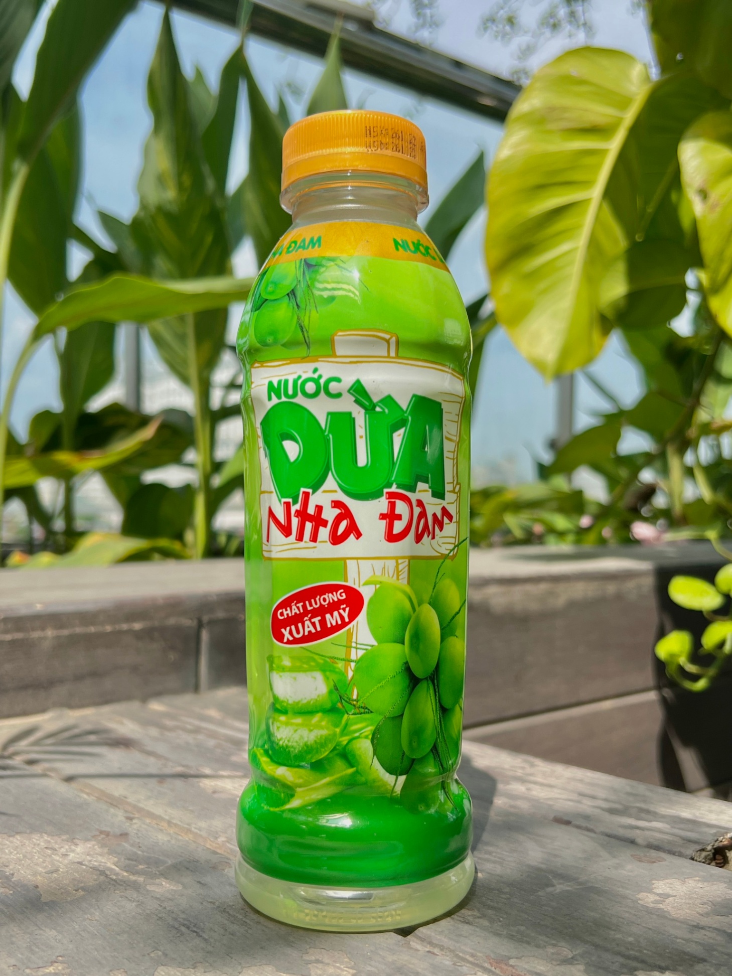 Nước dừa nha đam 500ml (Coconut with Aloe Vera)