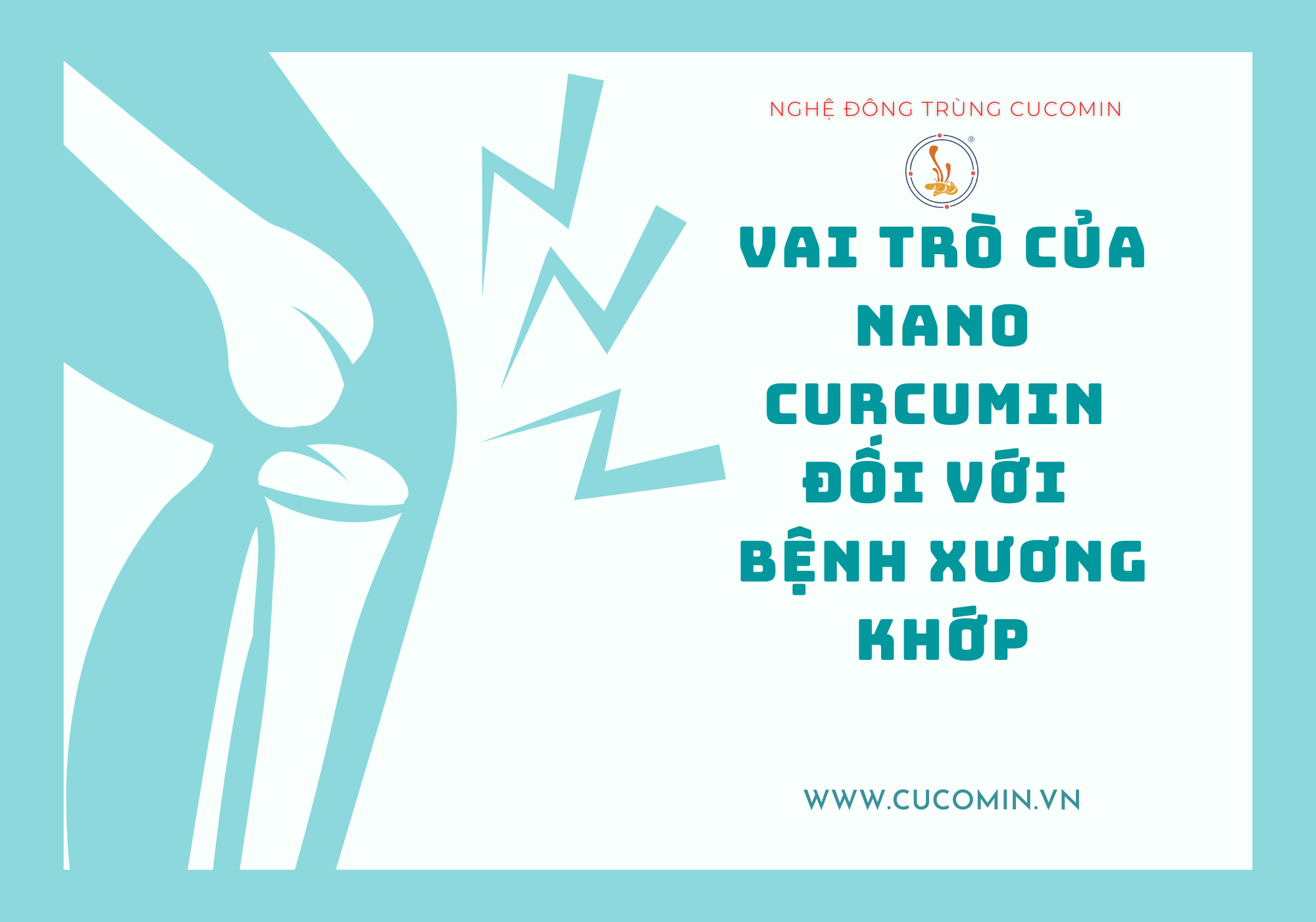 Vai trò của curcumin đối với xương khớp