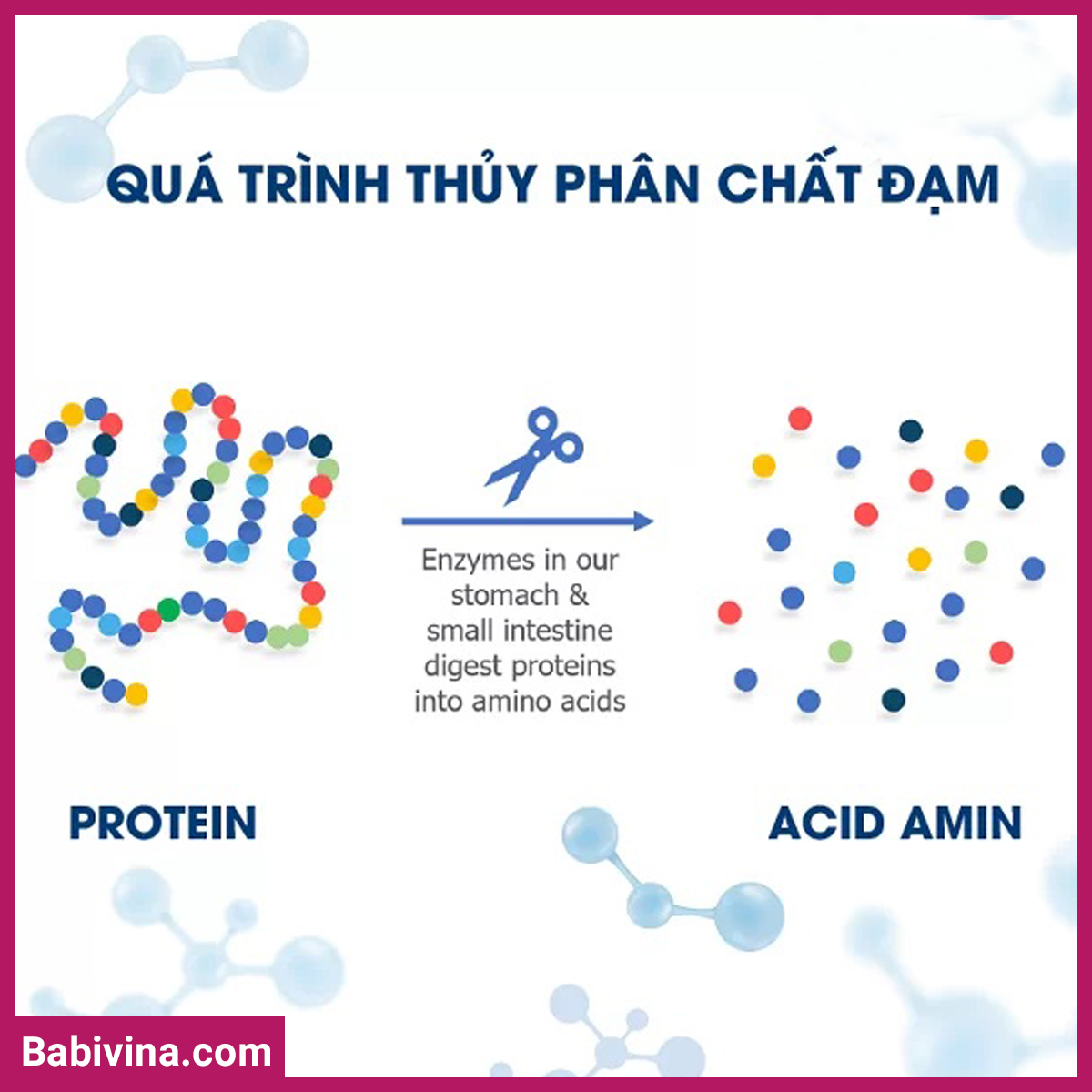 qua-trinh-thuy-phan-chat-dam