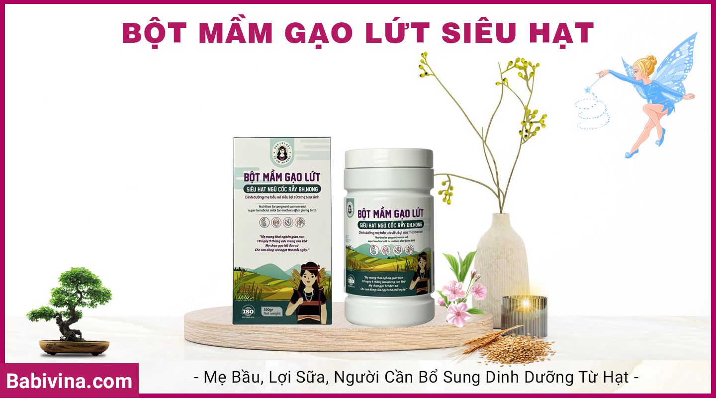 Bột Mầm Gạo Lứt 500g BH.Nong | Dinh Dưỡng Cho Mẹ Bầu Trước Và Sau Sinh, Khỏe Cho Mẹ, Tốt Cho Con | Tổng Kho, Nhà Phân Phối Babivina