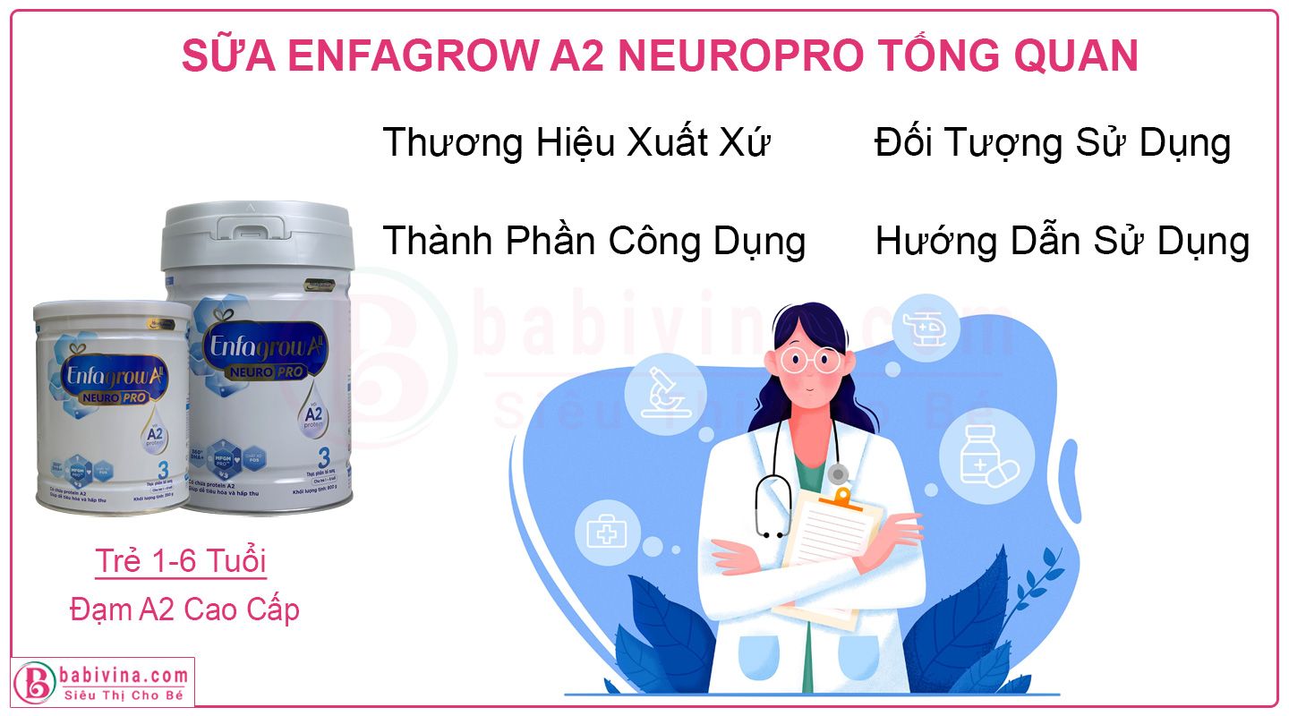 Sữa Enfagrow A2 3 800g Neuropro Tóm Tắt Tổng Quan