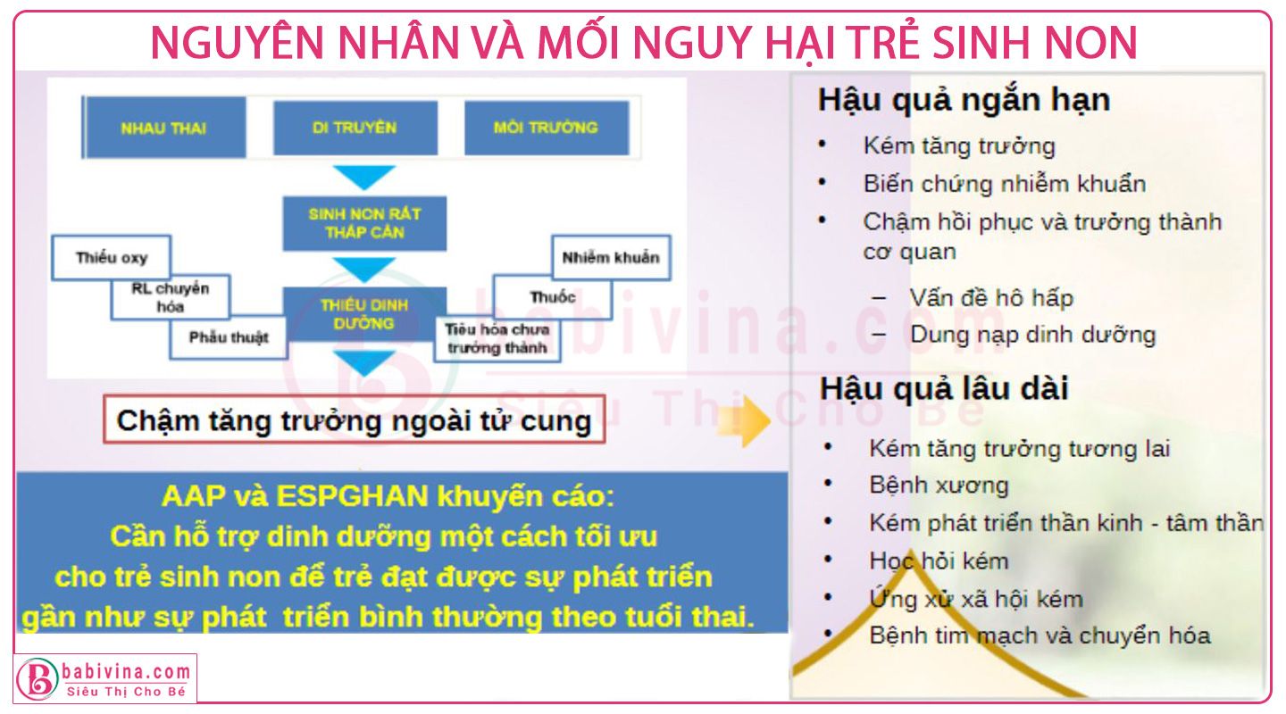 Nguyên Nhân Và Hậu Quả Khi Trẻ Sinh Non