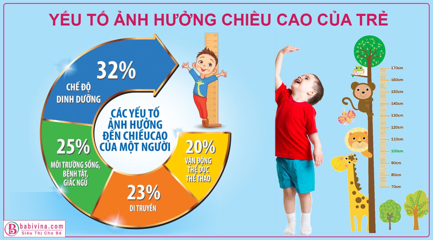 Yếu Tố Ảnh Hưởng Đến Chiều Cao Của Trẻ