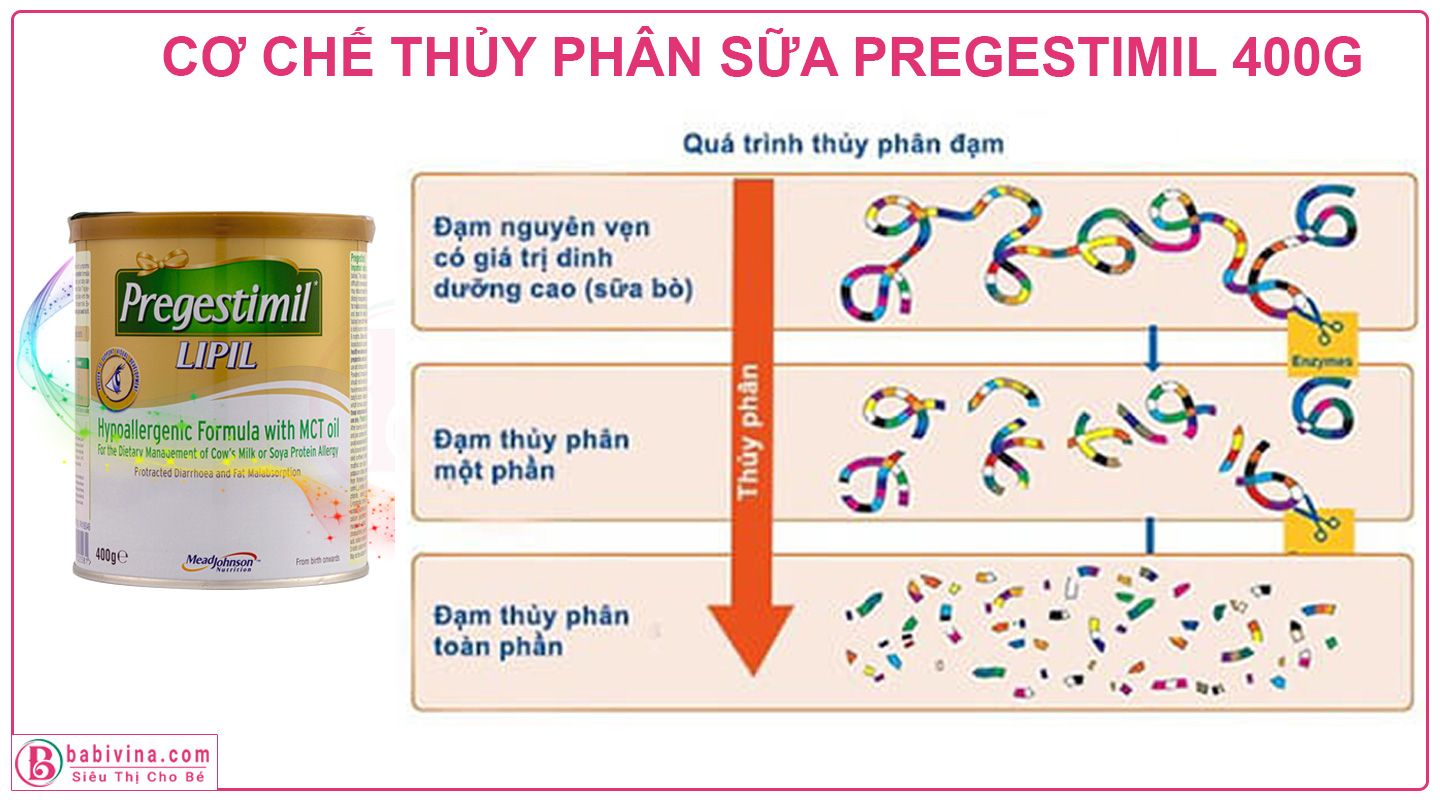 Sữa Enfa Pregestimil Lipil 400g Cơ Chế Đạm Thủy Phân Toàn Phần