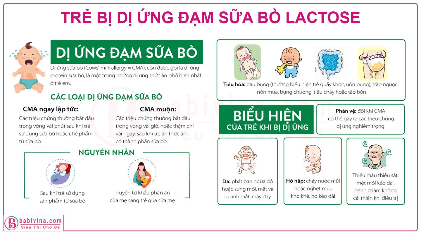 Trẻ Bị Dị Ứng Đạm Sữa Bò Babivina