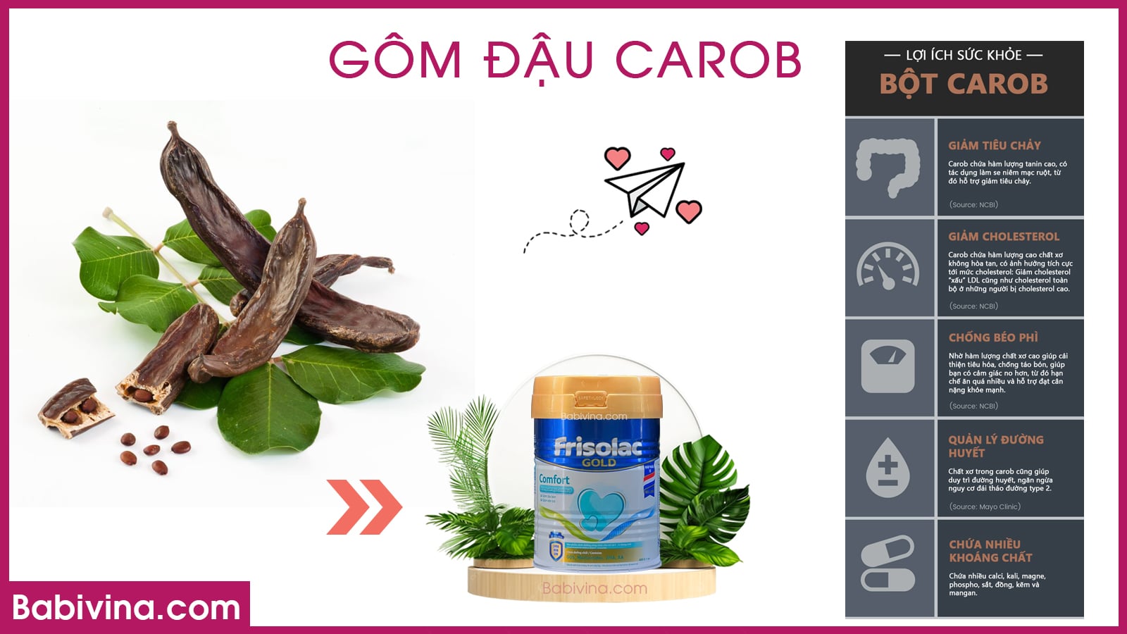 gom-dau-carob-sua-frisolac-gold-comfort