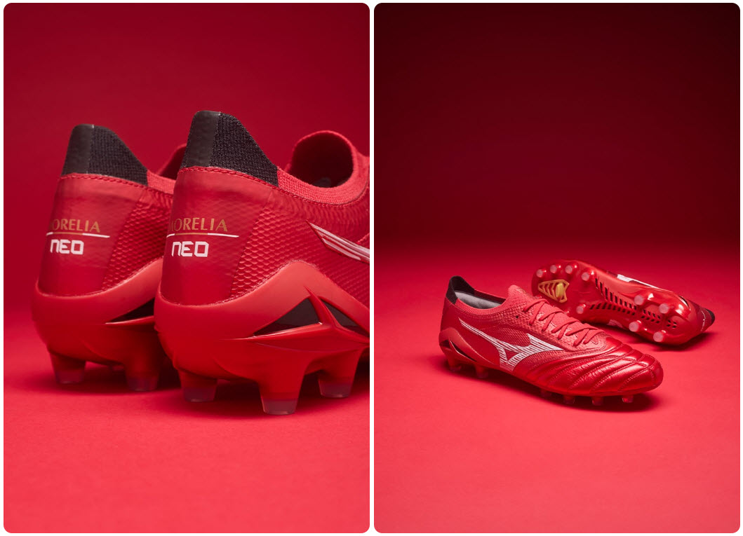 Morelia neo 4