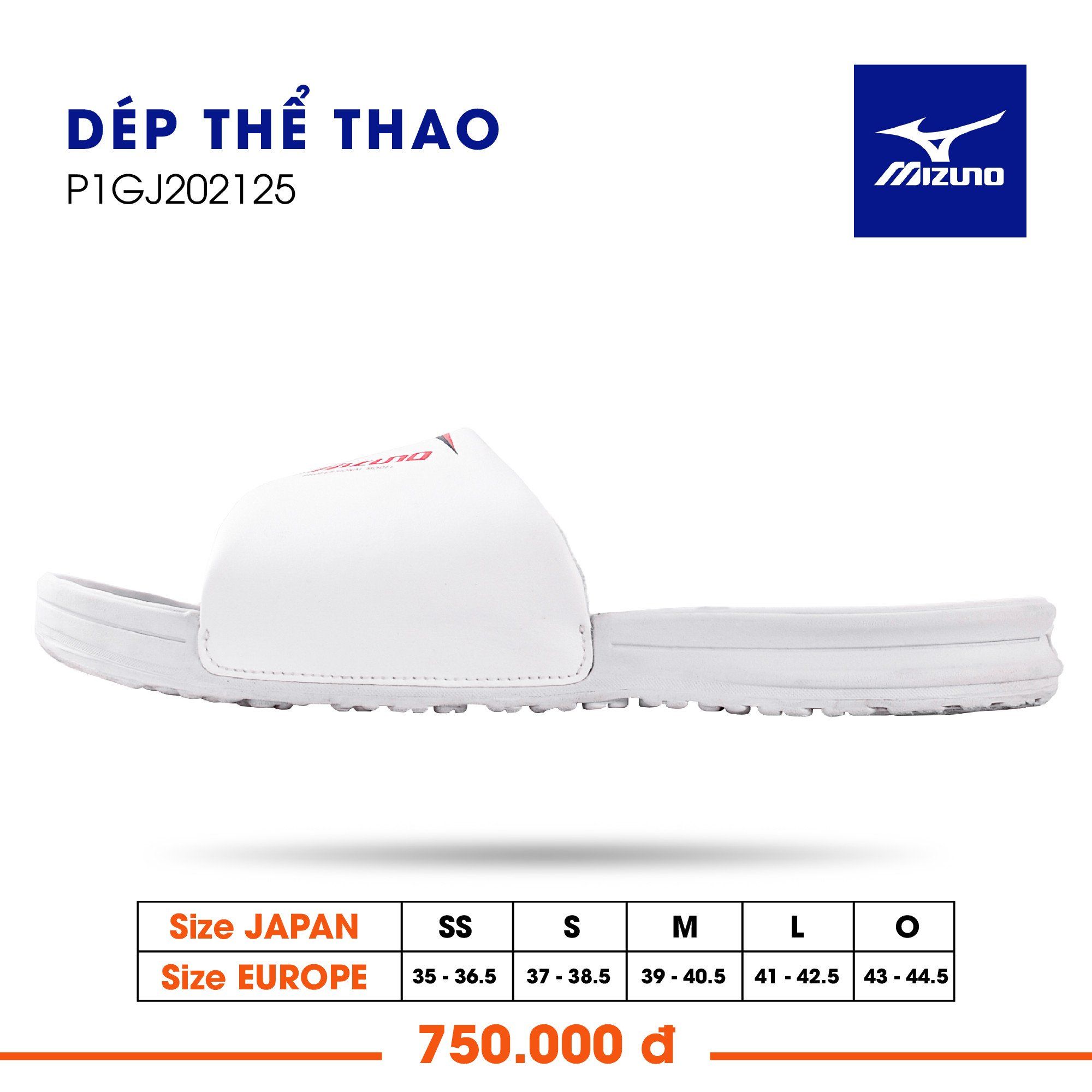 Dép thể thao Mizuno P1GJ202125