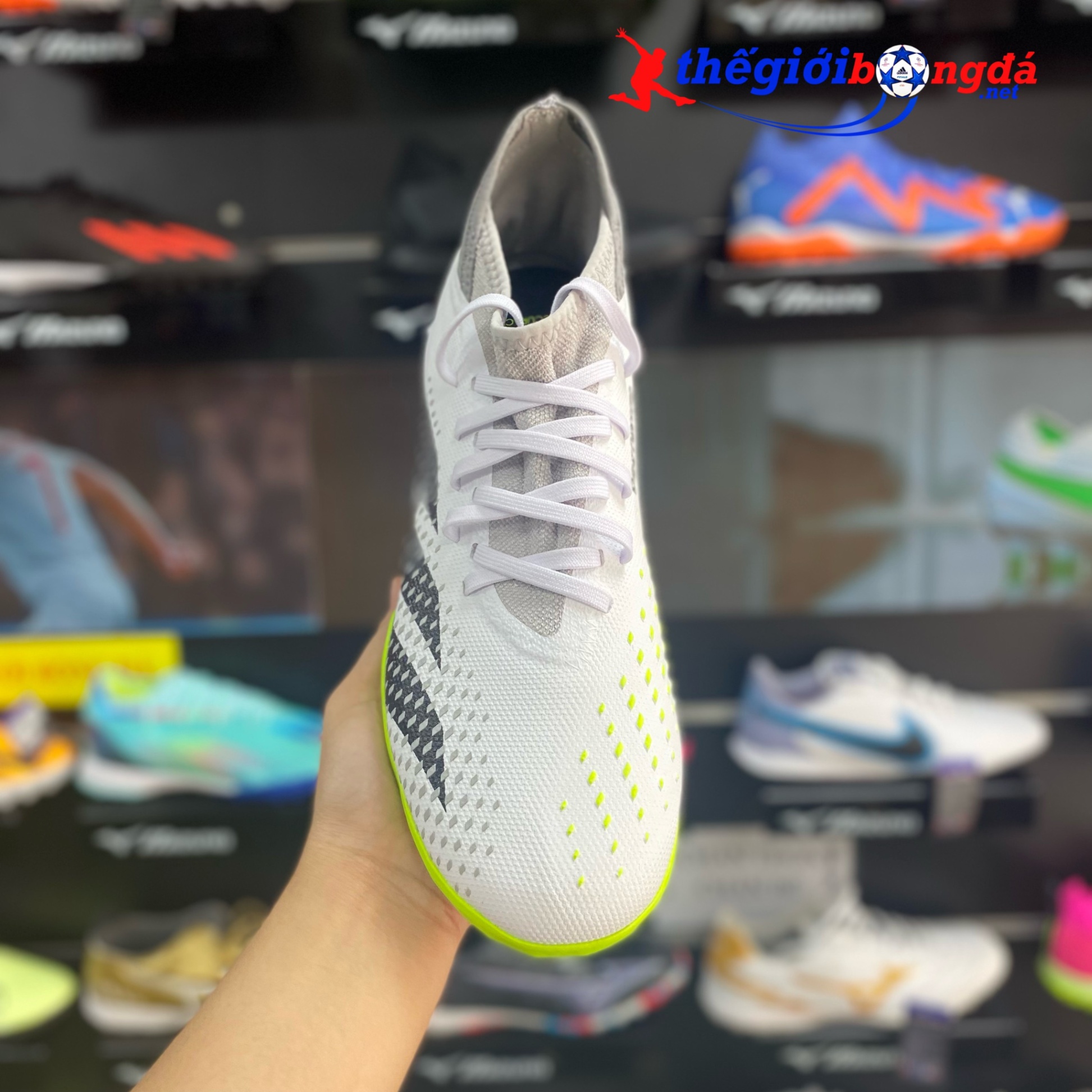 Adidas Predator Accuracy.3 TF - Trắng/Xám GZ0004