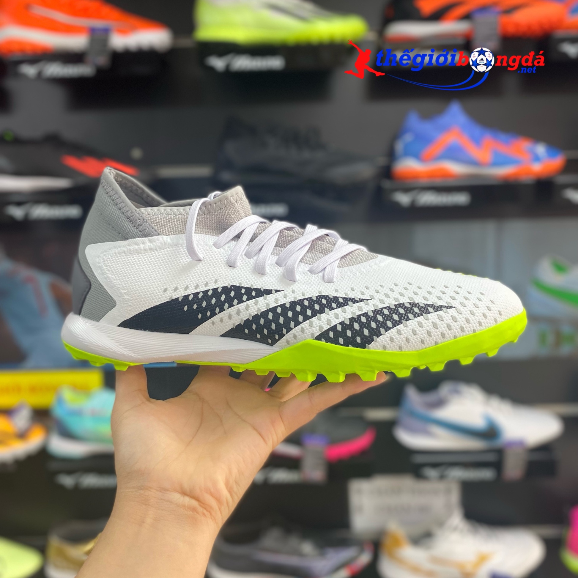 Adidas Predator Accuracy.3 TF - Trắng/Xám GZ0004