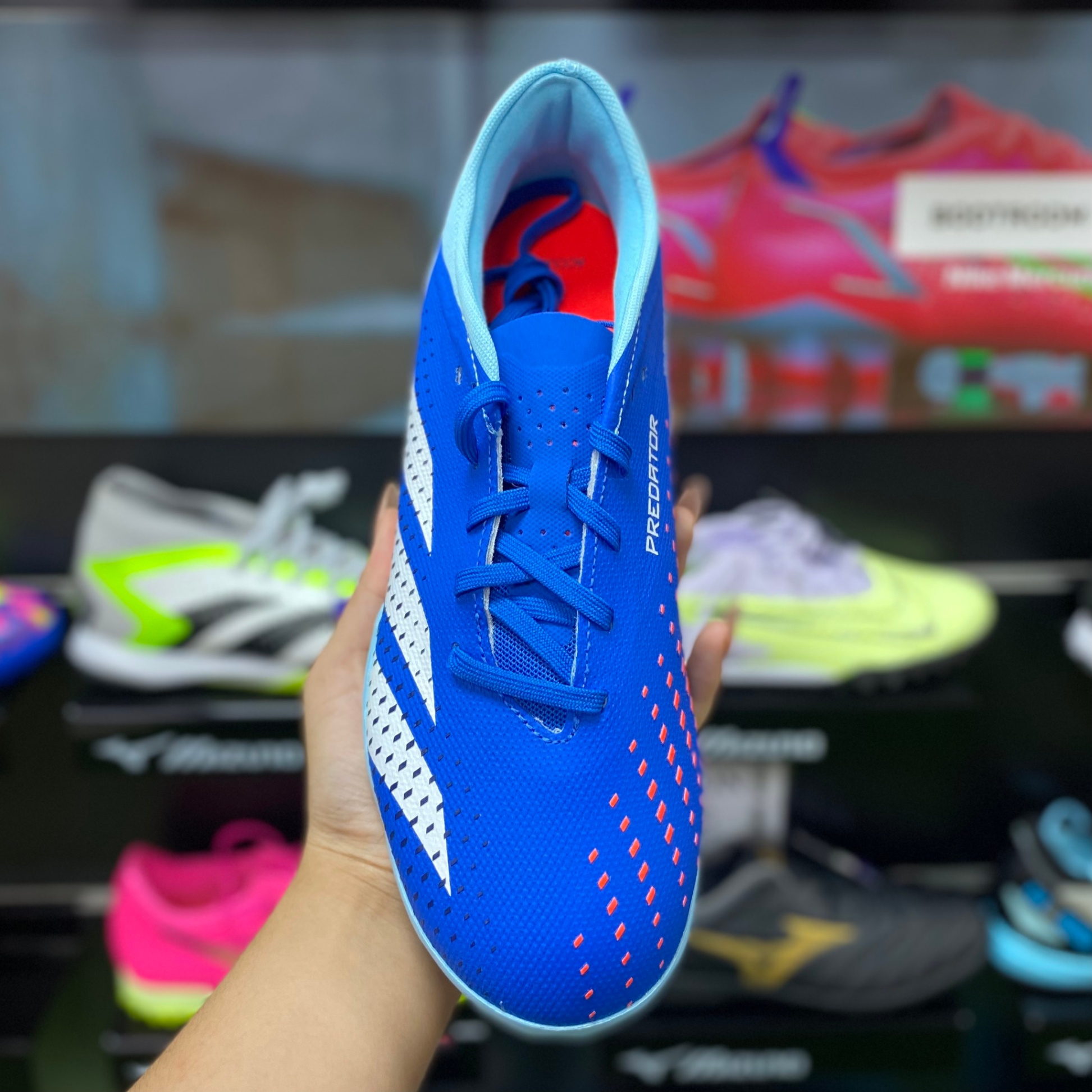 Adidas Predator Accuracy.3 L TF - Xanh/Trắng GZ0002