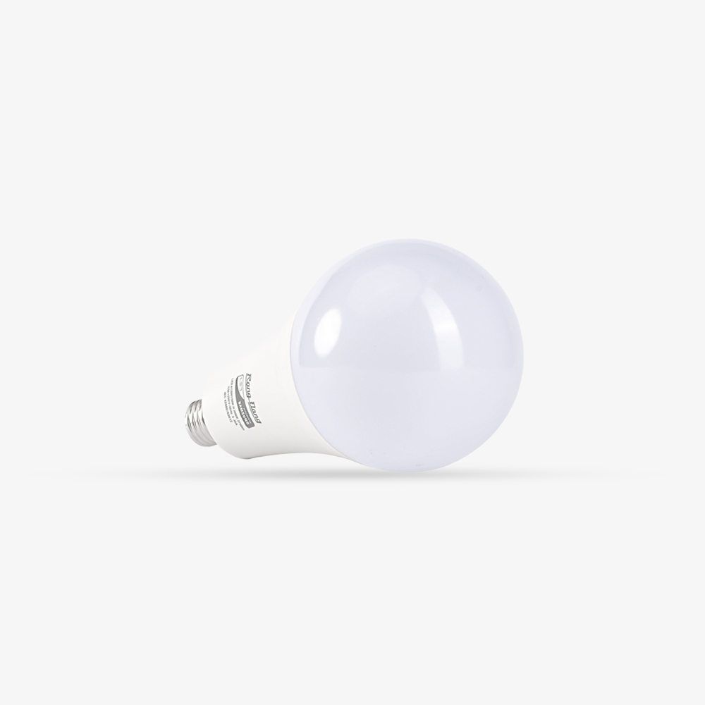Bóng đèn LED BULB Tròn 30W A120N1/30W.H