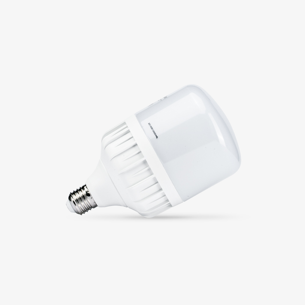 Bóng đèn LED BULB Trụ 30W  TR100N1/30W.H