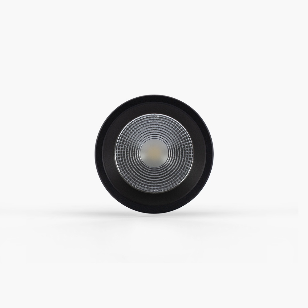 Đèn Downlight nổi trần trang trí 110/10W  NT01 110/10W
