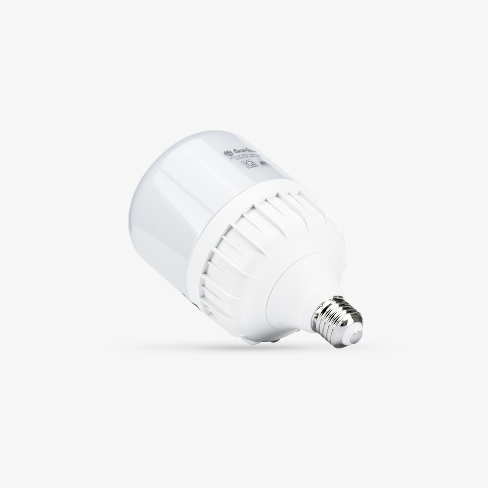 Bóng đèn LED BULB Trụ 30W  TR100N1/30W.H