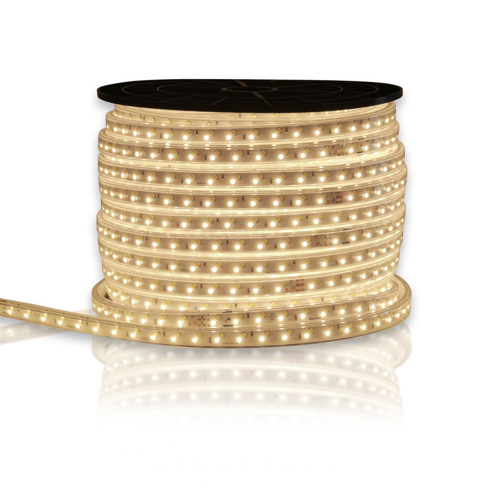 Led dây chiếu sáng đổi màu  RD-LD01 ĐM.9W