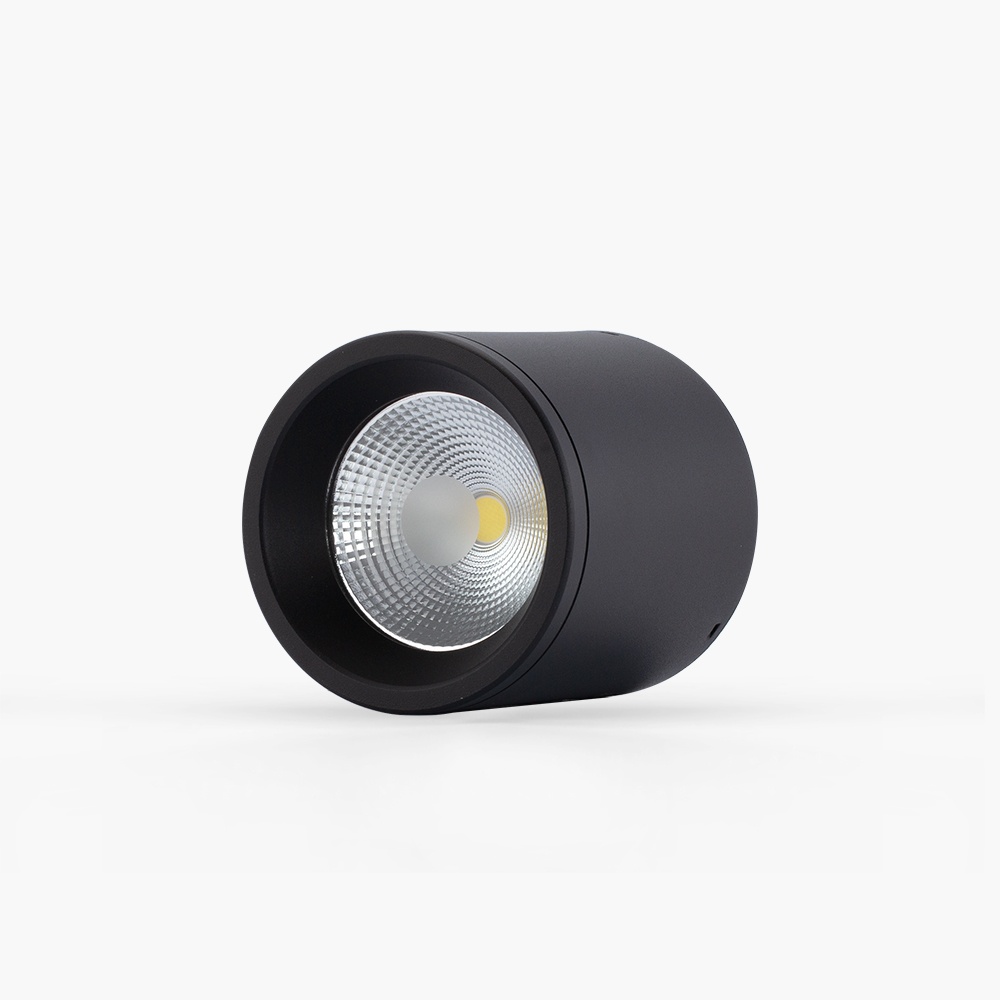 Đèn Downlight nổi trần trang trí 110/10W  NT01 110/10W