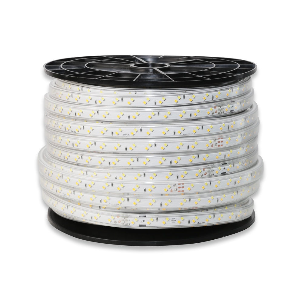 Led dây chiếu sáng đổi màu  RD-LD01 ĐM.9W