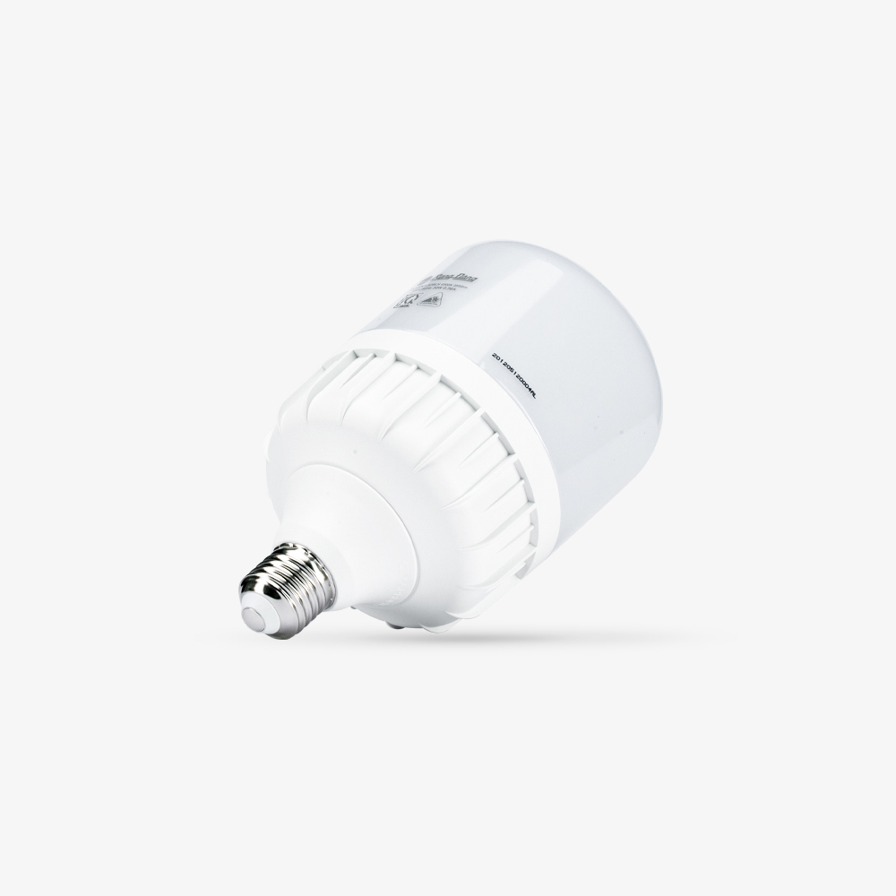 Bóng đèn LED BULB Trụ 30W  TR100N1/30W.H