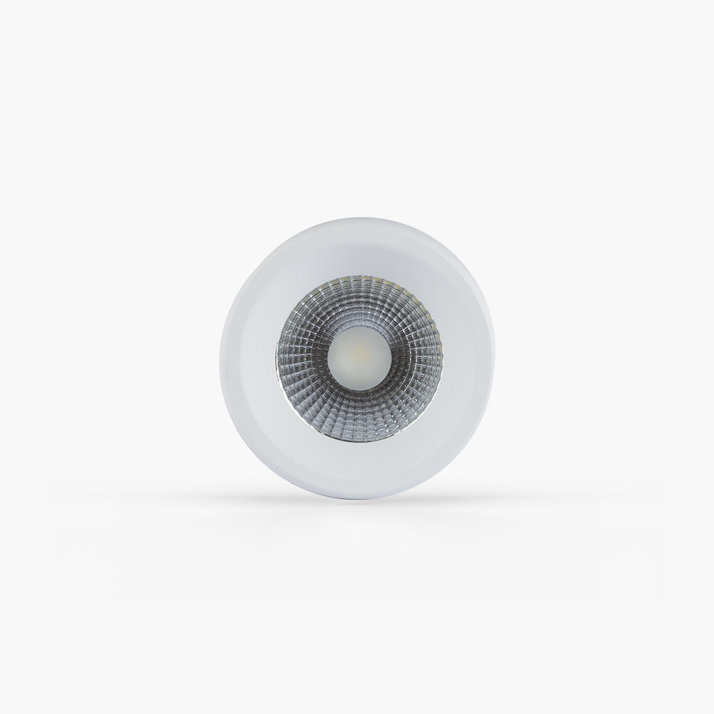 Đèn Downlight nổi trần trang trí NT01 90/10W