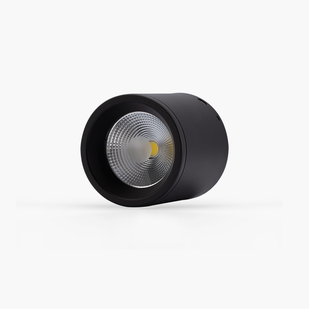 Đèn Downlight nổi trần trang trí  NT01 110/15W