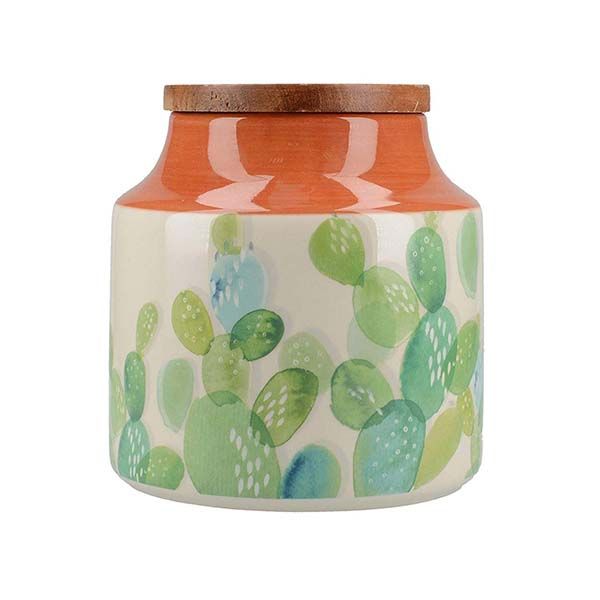 CREATIVE TOPS, LỌ ĐỰNG, CÓ NẮP ĐẬY, HÌNH CÂY XƯƠNG RỒNG