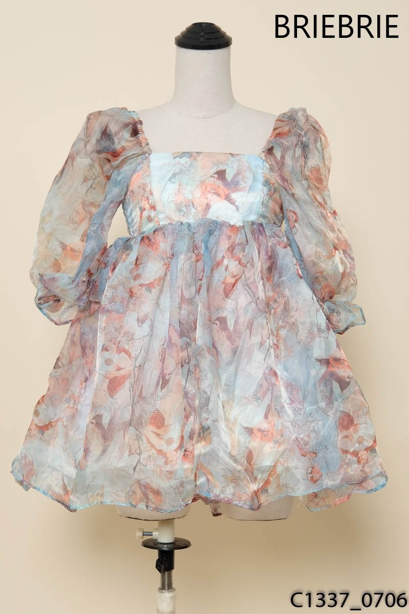 BRIEBRIE- Đầm xanh họa tiết New Tags