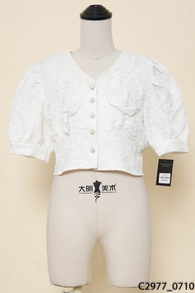 Áo trắng cộc tay