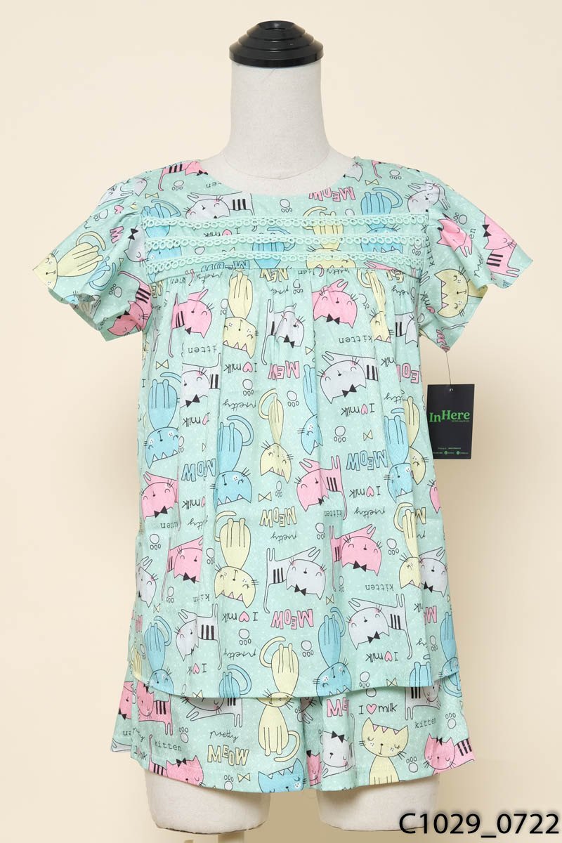 Set bộ đồ xanh hình mèo New Tags