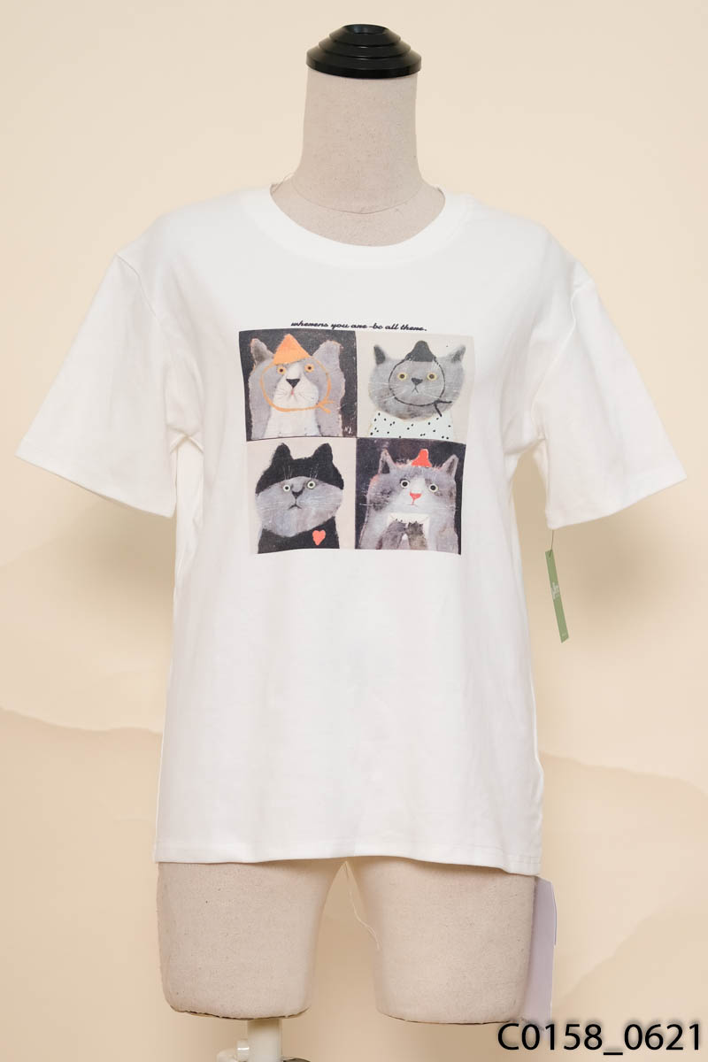 Áo thun trắng hình mèo New Tags