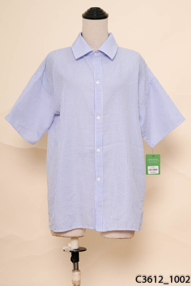 Áo sơ mi trắng sọc xanh