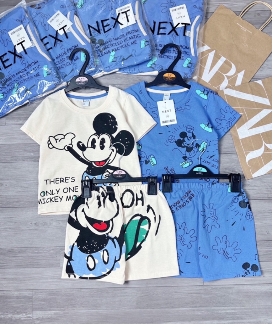 Set 2 bộ hình micky be xanh