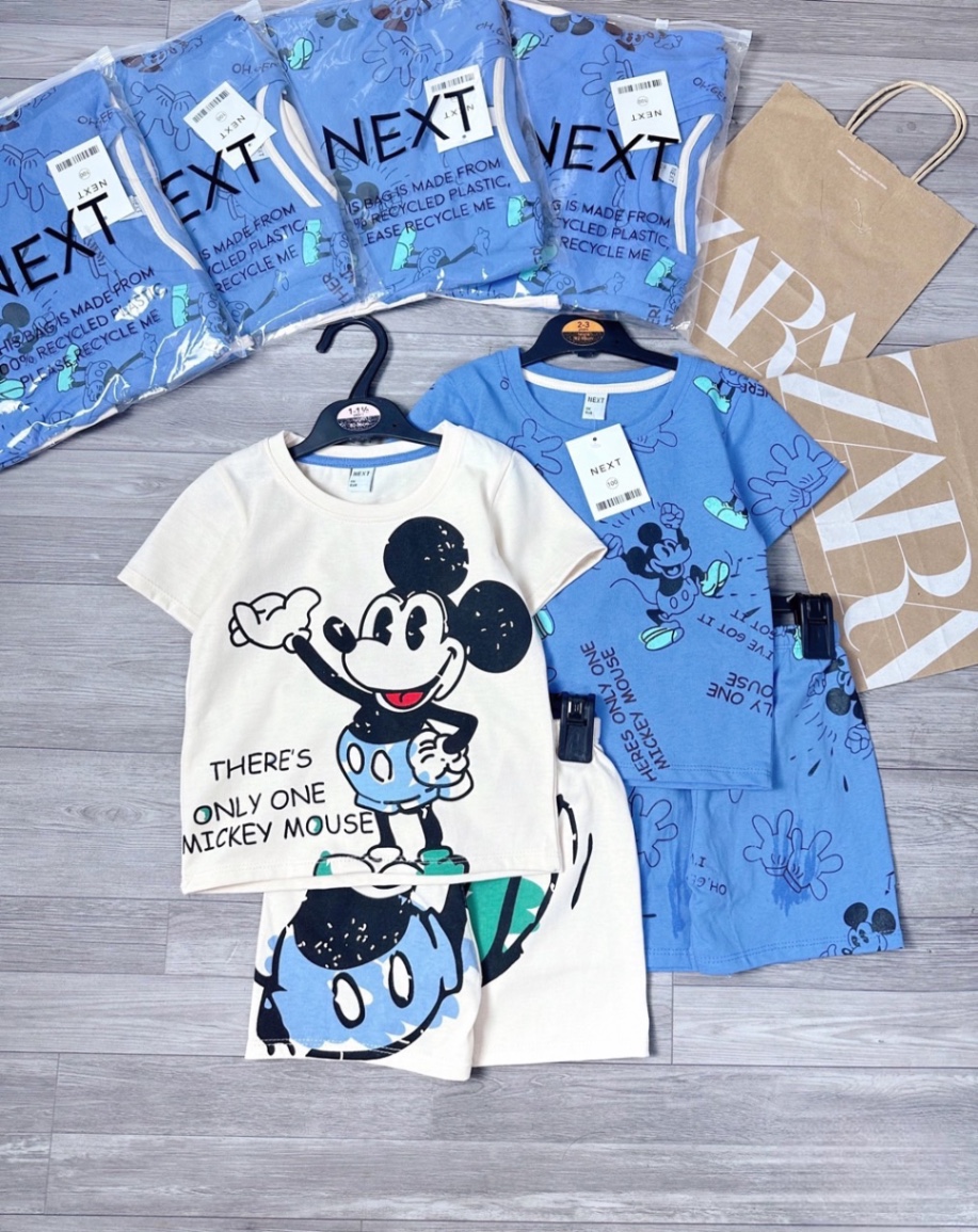 Set 2 bộ hình micky be xanh