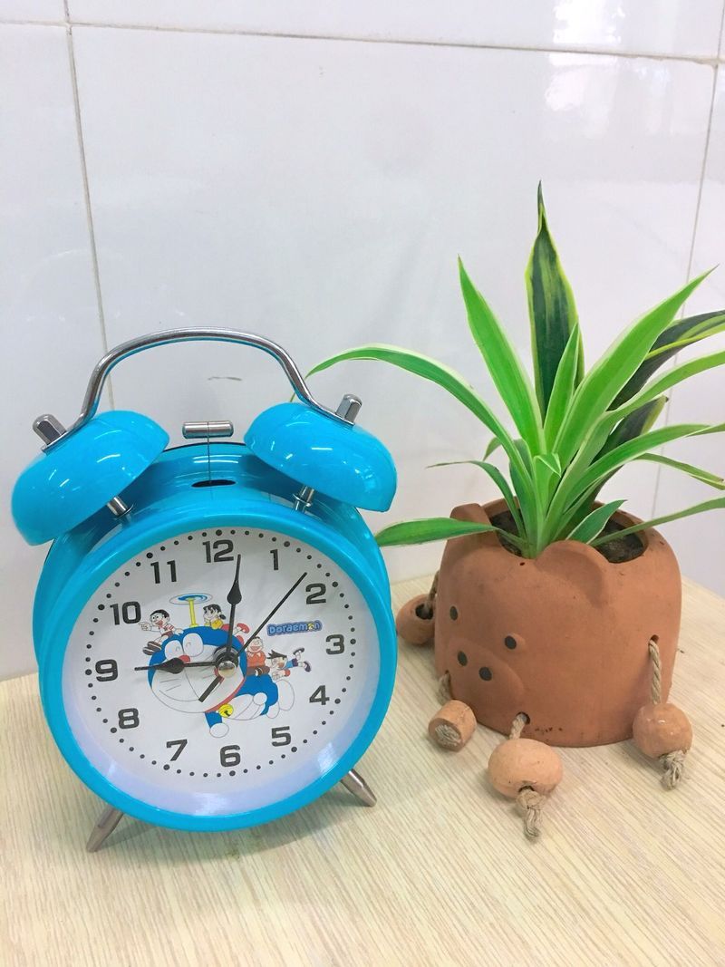 Chiếc đồng hồ mang lại những khoảnh khắc đặc biệt cho cuộc sống tại Trung tâm Bán sỉ Văn phòng phẩm - Đồ dùng học tập Đà Nẵng