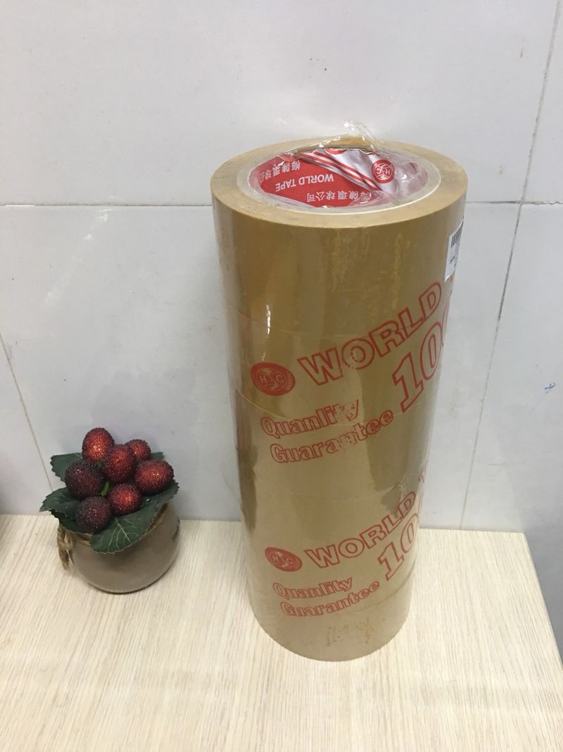 Băng Keo Đục 48mm - 100Y (1.0 kg)(HĐ 8%)
