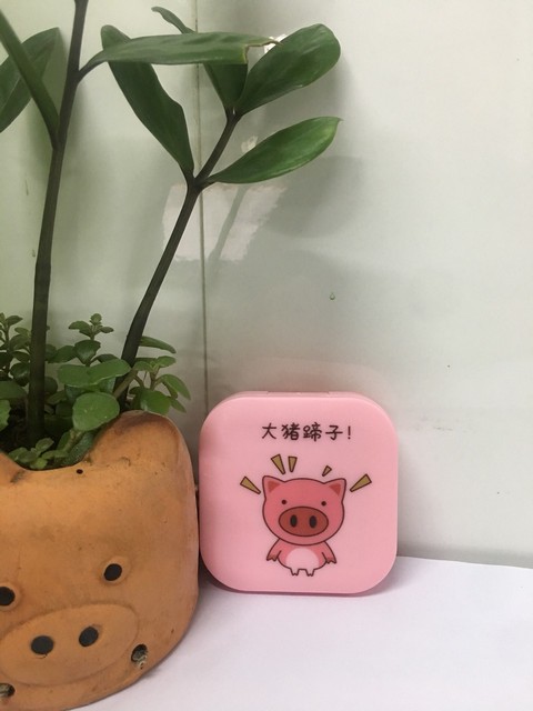 Bộ gương mini Pig