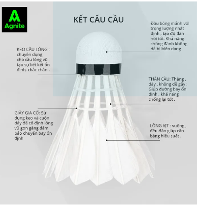 Cầu lông Deli Agnite DF2202S (ống 12 quả)