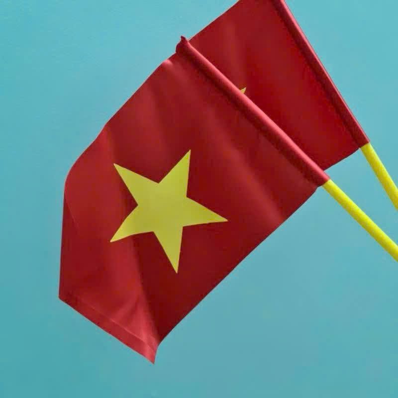 Cờ cầm tay vải