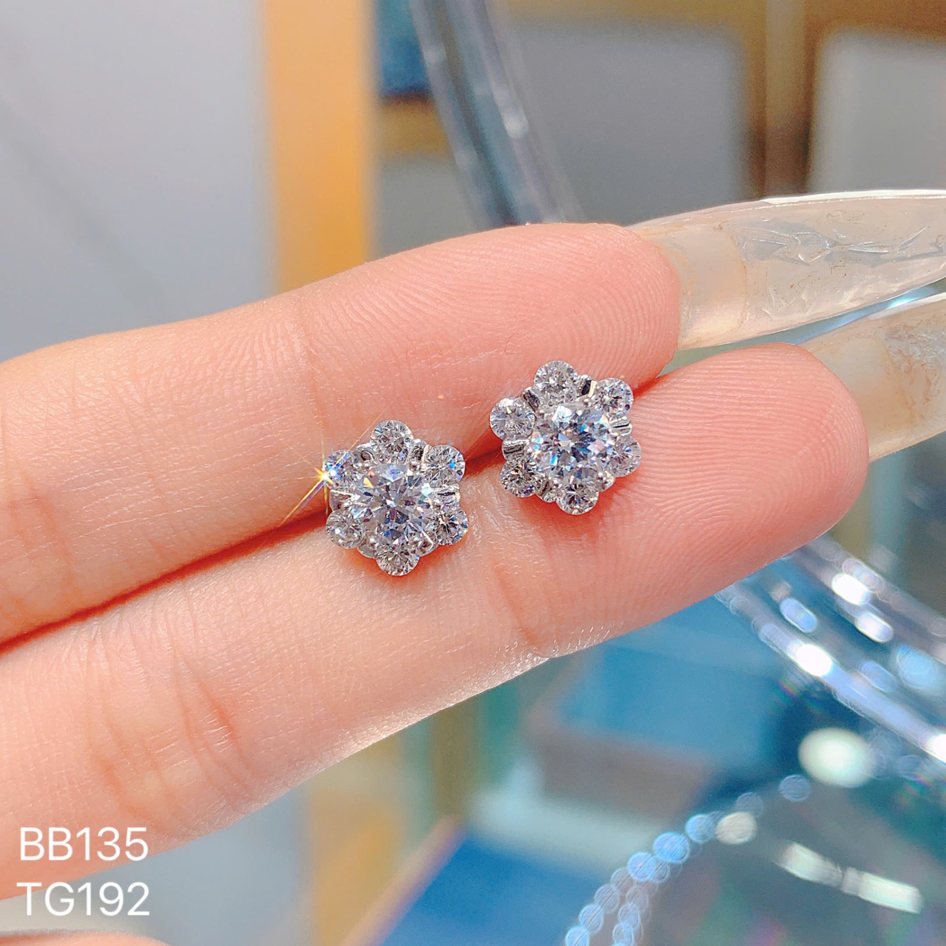 TG192- BÔNG TAI HOA MAI CHỦ 4 LI