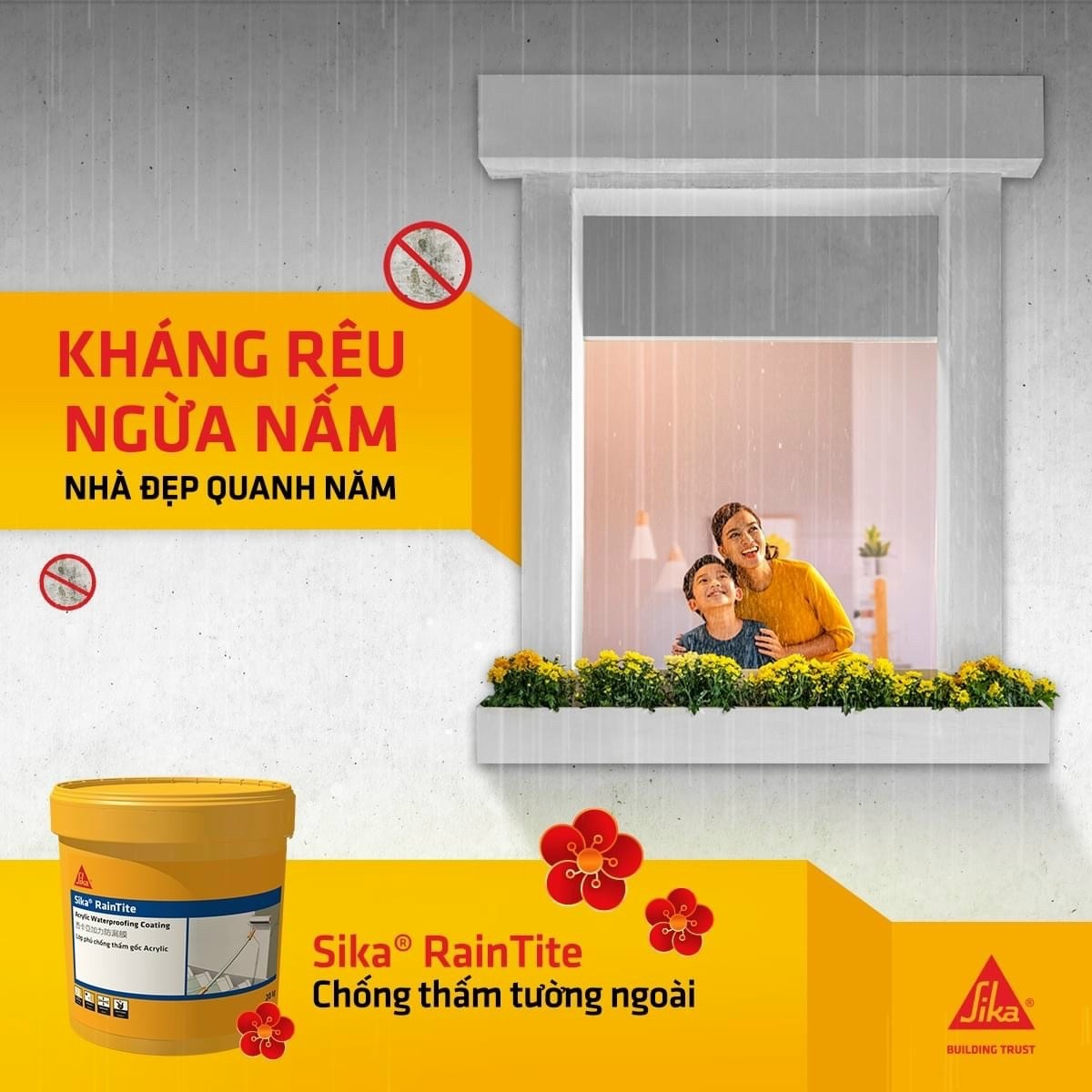 Thùng 4kg Sơn Chống Thấm Sika RainTite