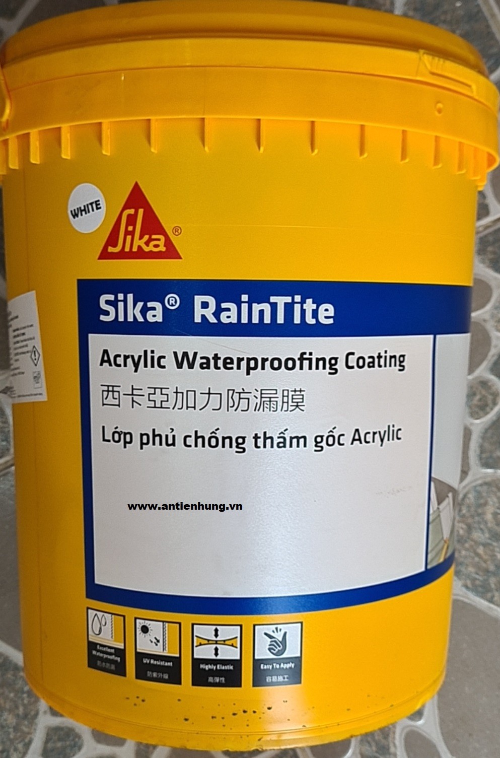 Thùng 20kg Sơn Chống Thấm Sika RainTite