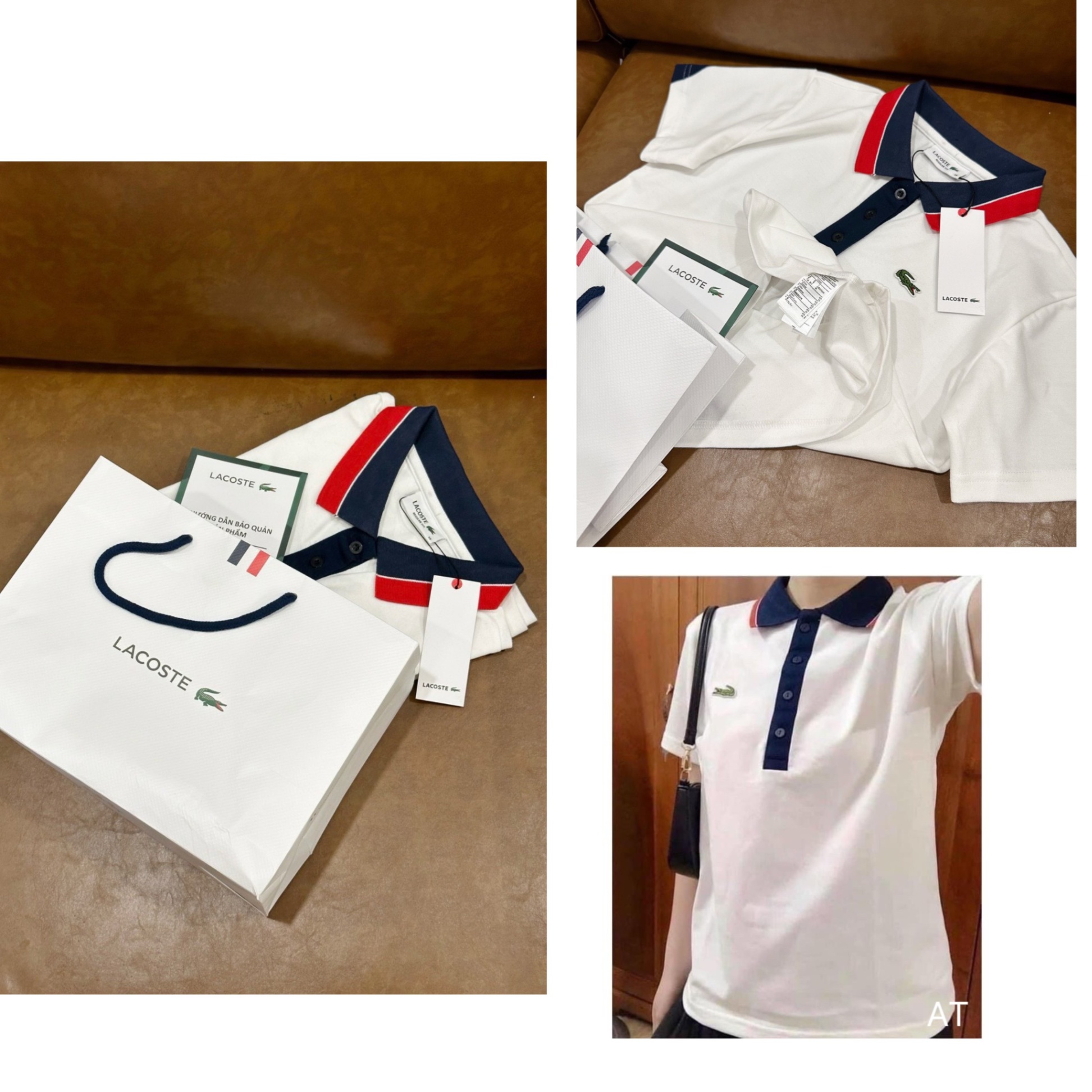 Áo Polo Lacoste cho nữ