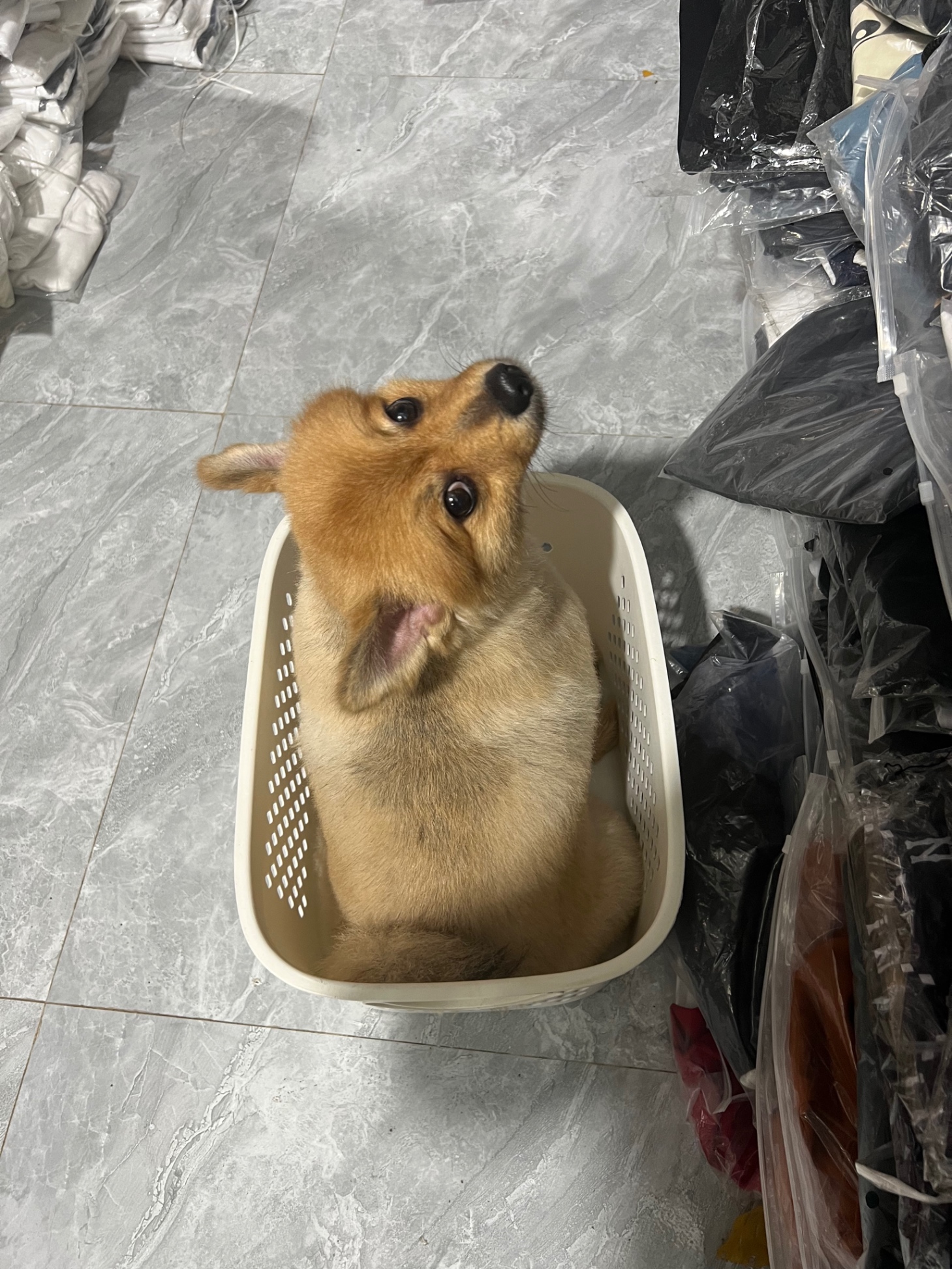 THAY THẾ HÀNG SALE 2