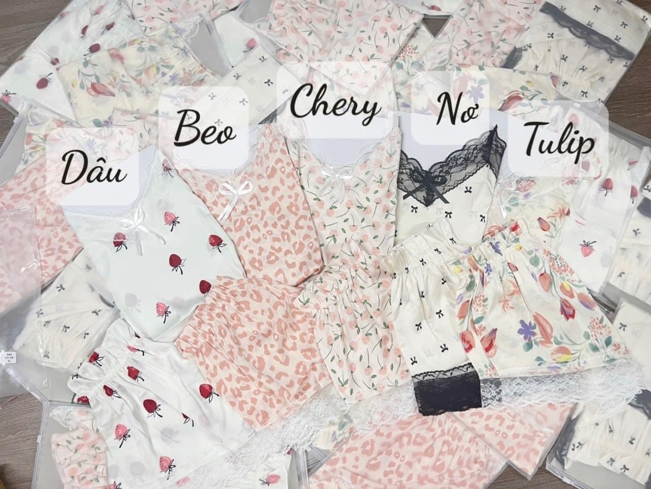BỘ NGỦ LỤA 2 DÂY QCCC