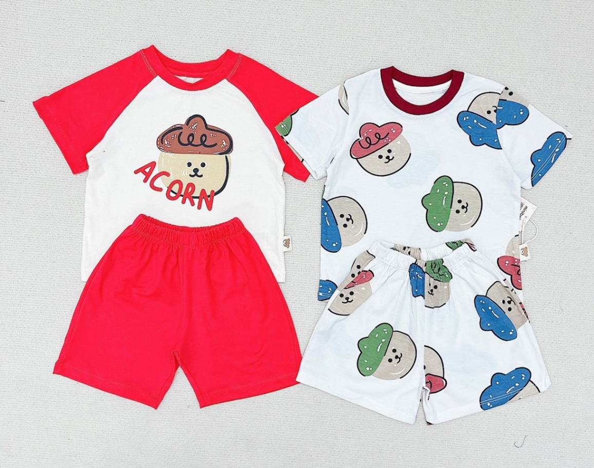 SET 2 BỘ KUTE ACORN VNXK