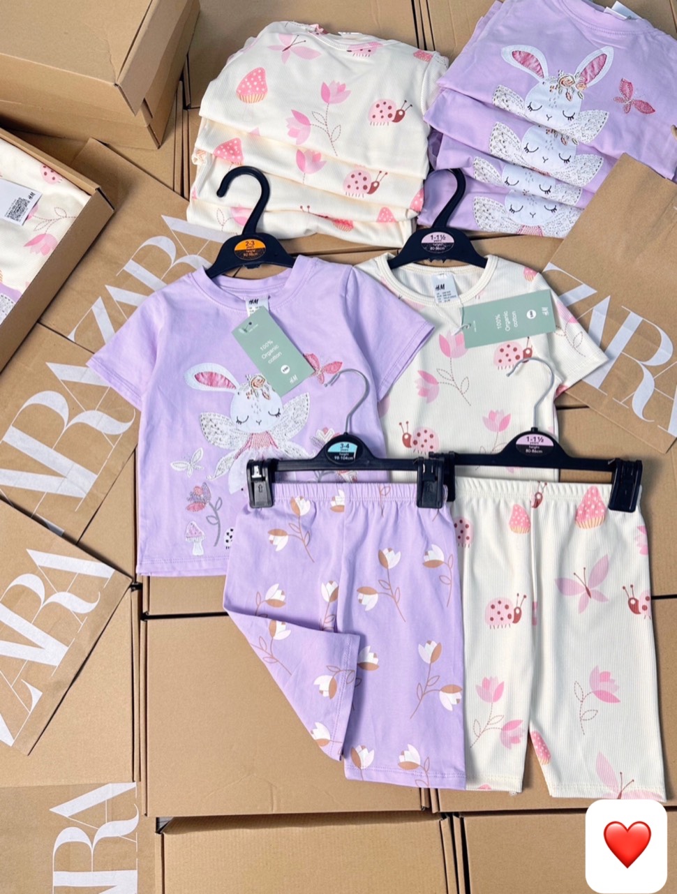 SET 2 BỘ THỎ TÍM TRẮNG